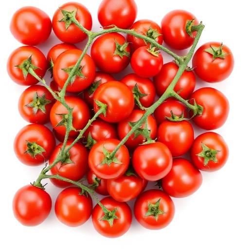 Tomate Italiano (kg)